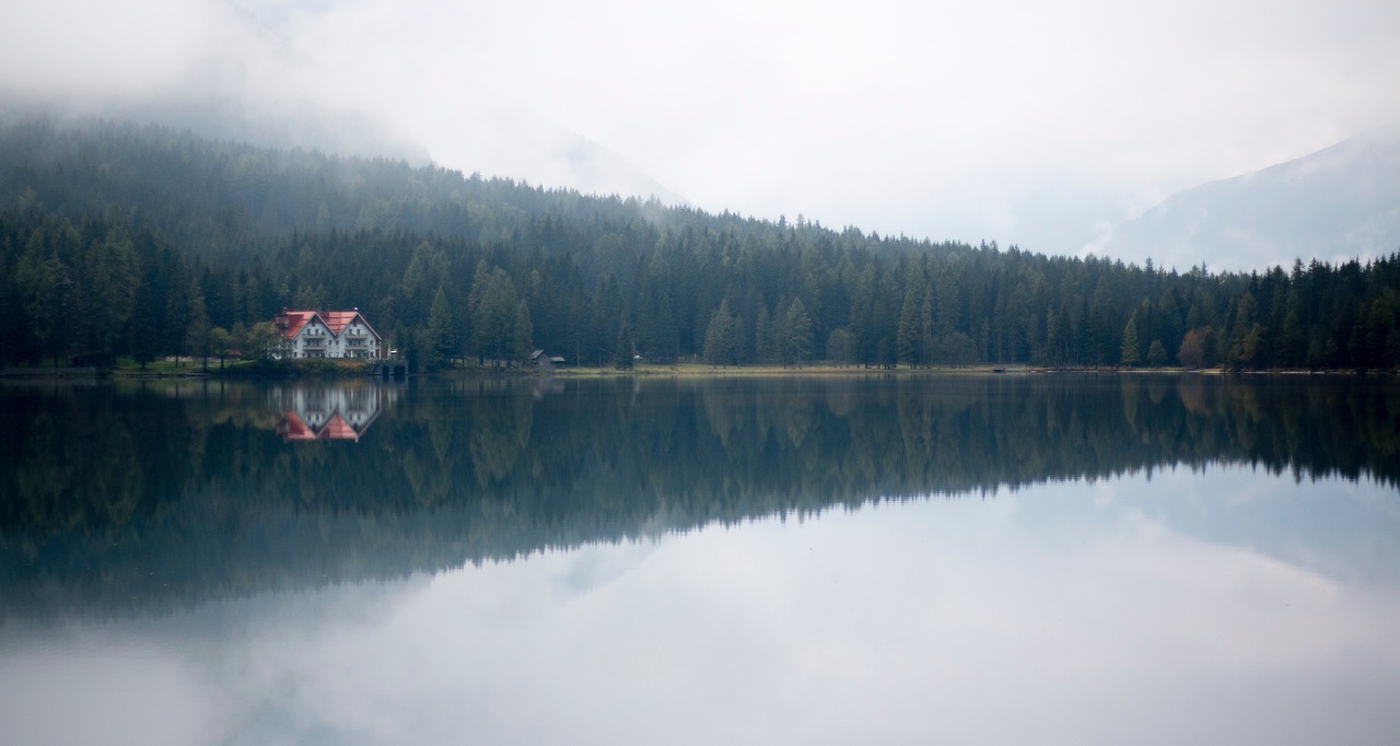 Medžiai, Augalas, Miškas, Rūkas, Ežeras, Vanduo, Atspindys, Nemokamos Nuotraukos,  Nemokama Licenzija