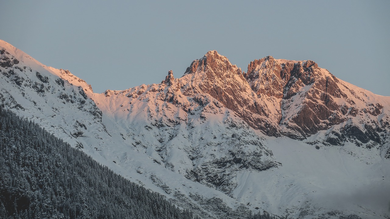 Medžiai, Augalai, Gamta, Kalnas, Highland, Miškas, Kraštovaizdis, Sniegas, Žiema, Nemokamos Nuotraukos