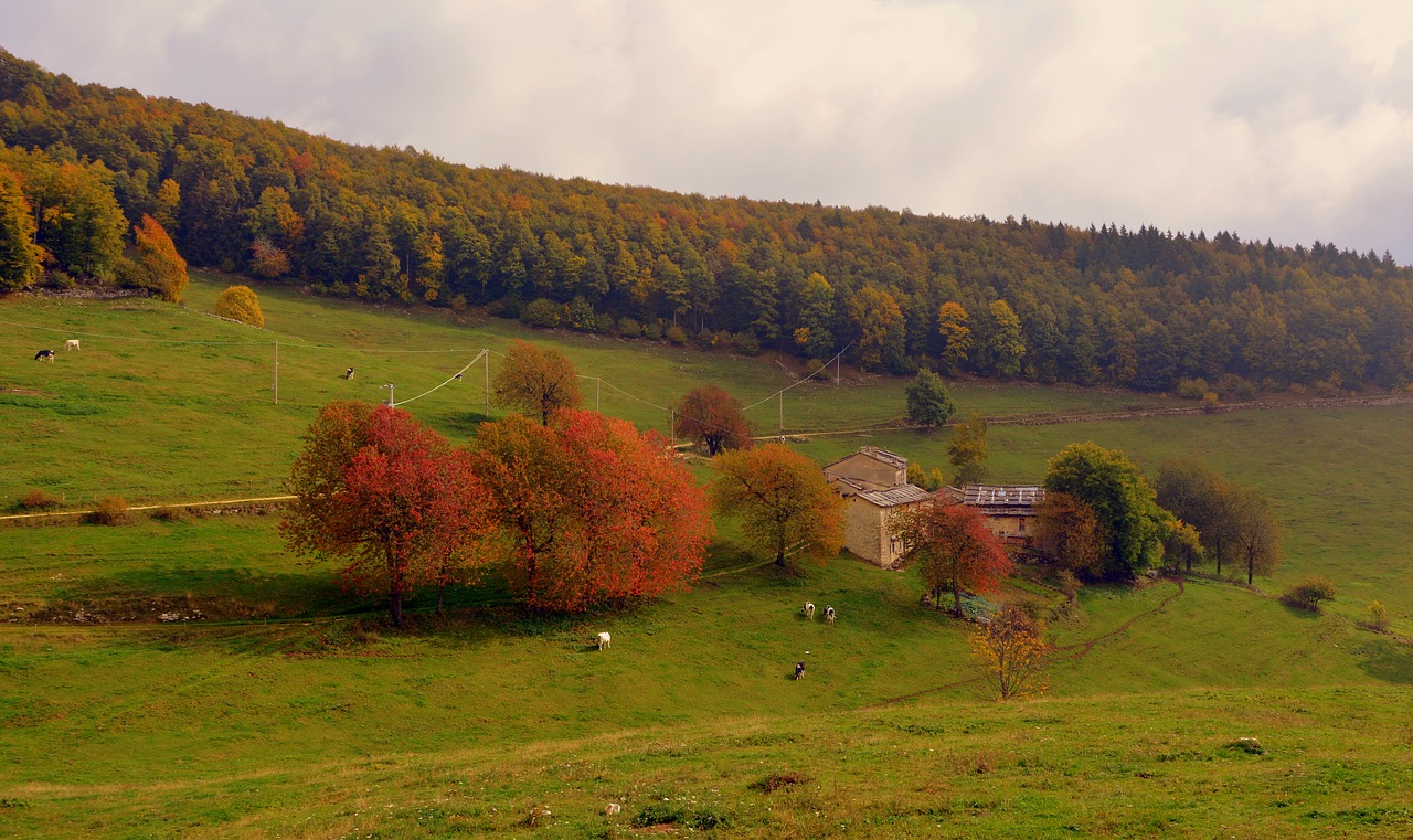 Medžiai, Borgo, Ruduo, Ganykla, Kalnas, Prato, Žalias, Europinis Kelias, E5, Lessinia