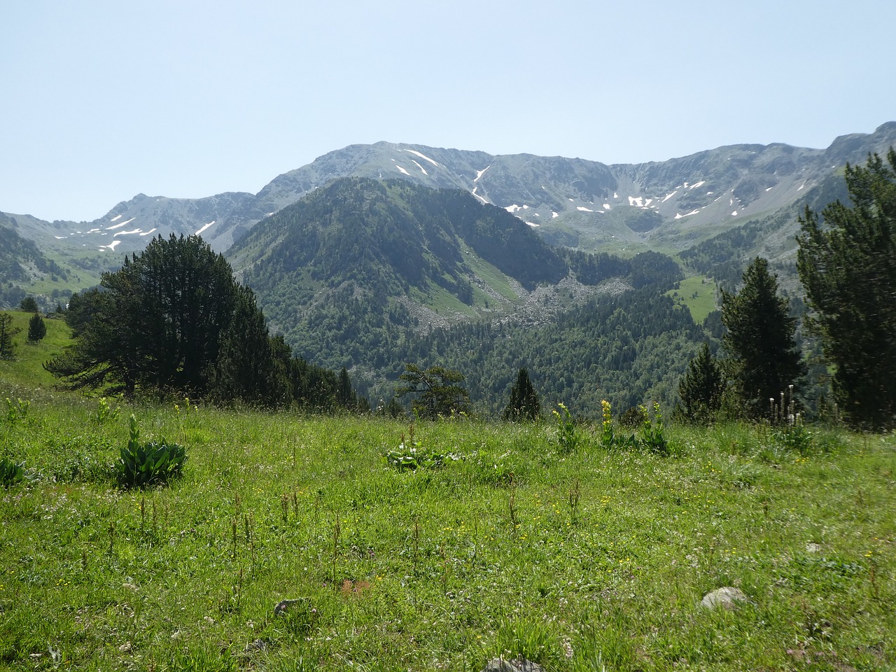 Medžiai,  Kalnų,  Andora, Nemokamos Nuotraukos,  Nemokama Licenzija