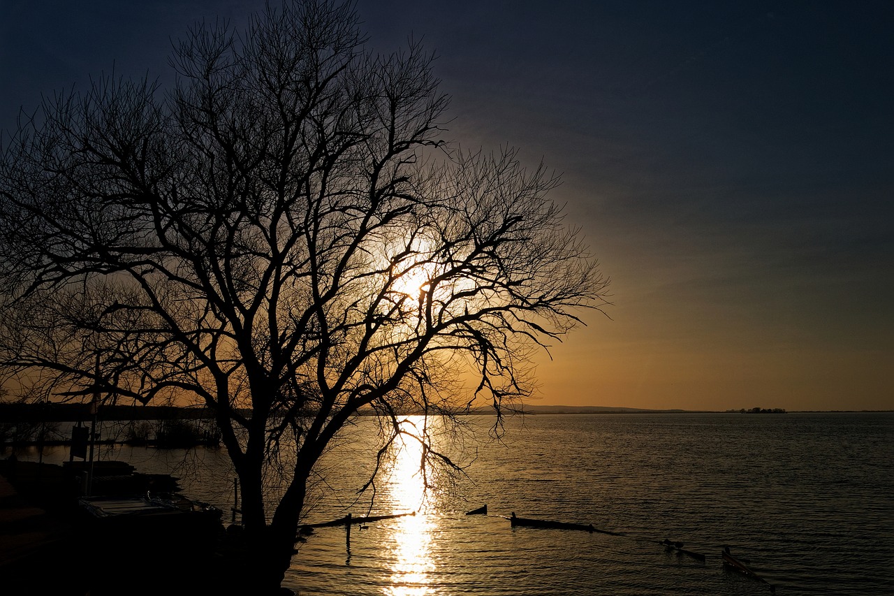 Medžiai,  Kraštovaizdis,  Pobūdį,  Steinhuder Jūra,  Ežeras,  Saulė,  Saulėlydžio,  Vakarą Dangus,  Prieblanda,  Abendstimmung