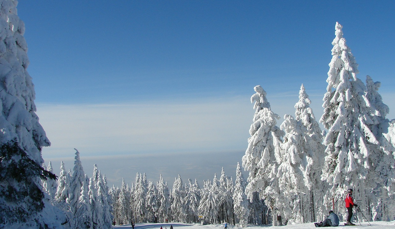 Medžiai, Sniegas, Medis, Žiema, Snieguotas, Kalnai, Balta, Miškas, Kraštovaizdis, Austria