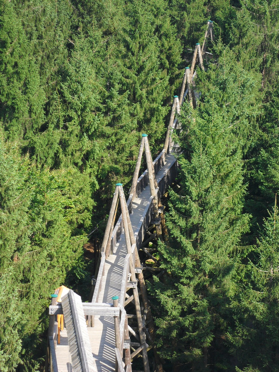 Trejopas Vaikščiojimas, Kopfingas, Innviertel, Aukštutinė Austrija, Sauwald, Austria, Nemokamos Nuotraukos,  Nemokama Licenzija