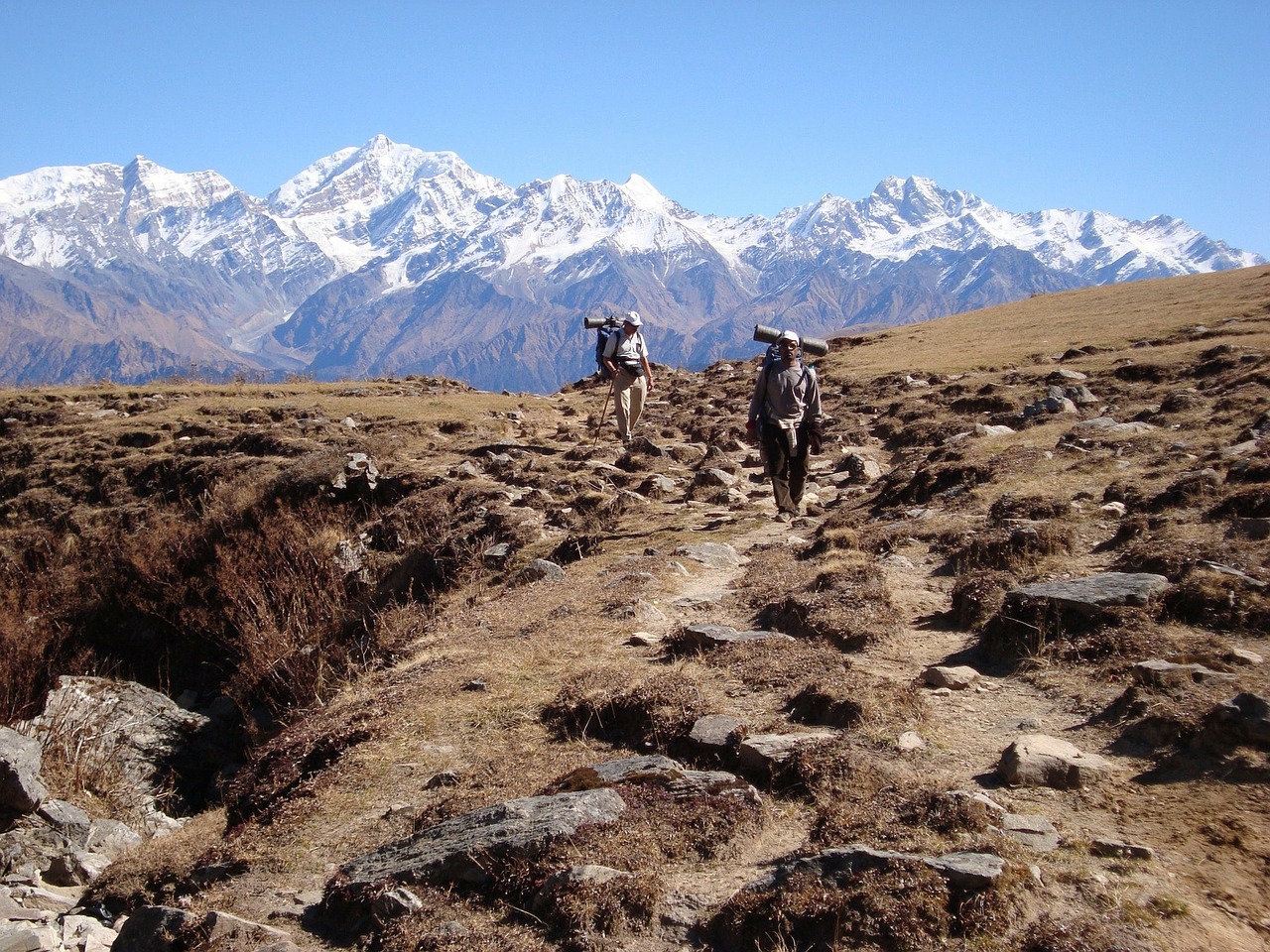 Trekkers, Himalajus, Kalnai, Pasivaikščiojimas, Šerpai, Vienas, Žygiai, Vaikščioti, Piligrimystė, Kelias