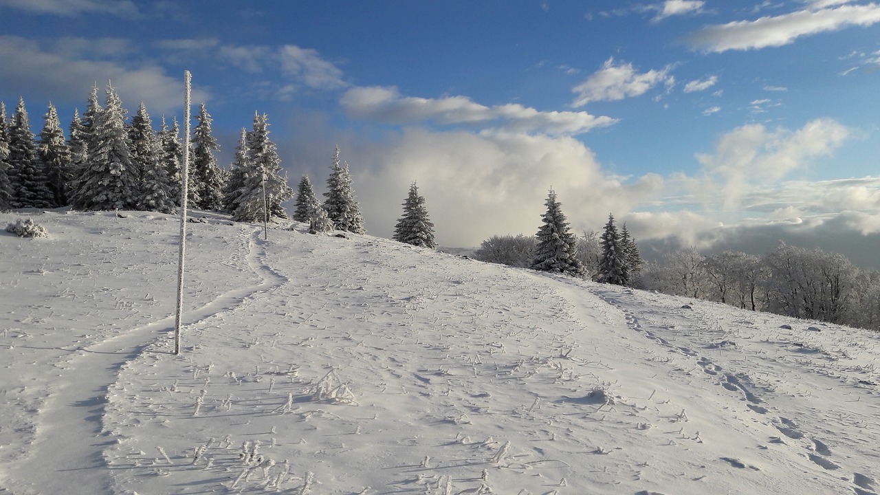 Kelionė, Pėdsakai, Žiema, Hacks, Debesys, Sniegas, Fatra, Balnas, Medžiai, Apledėjimas