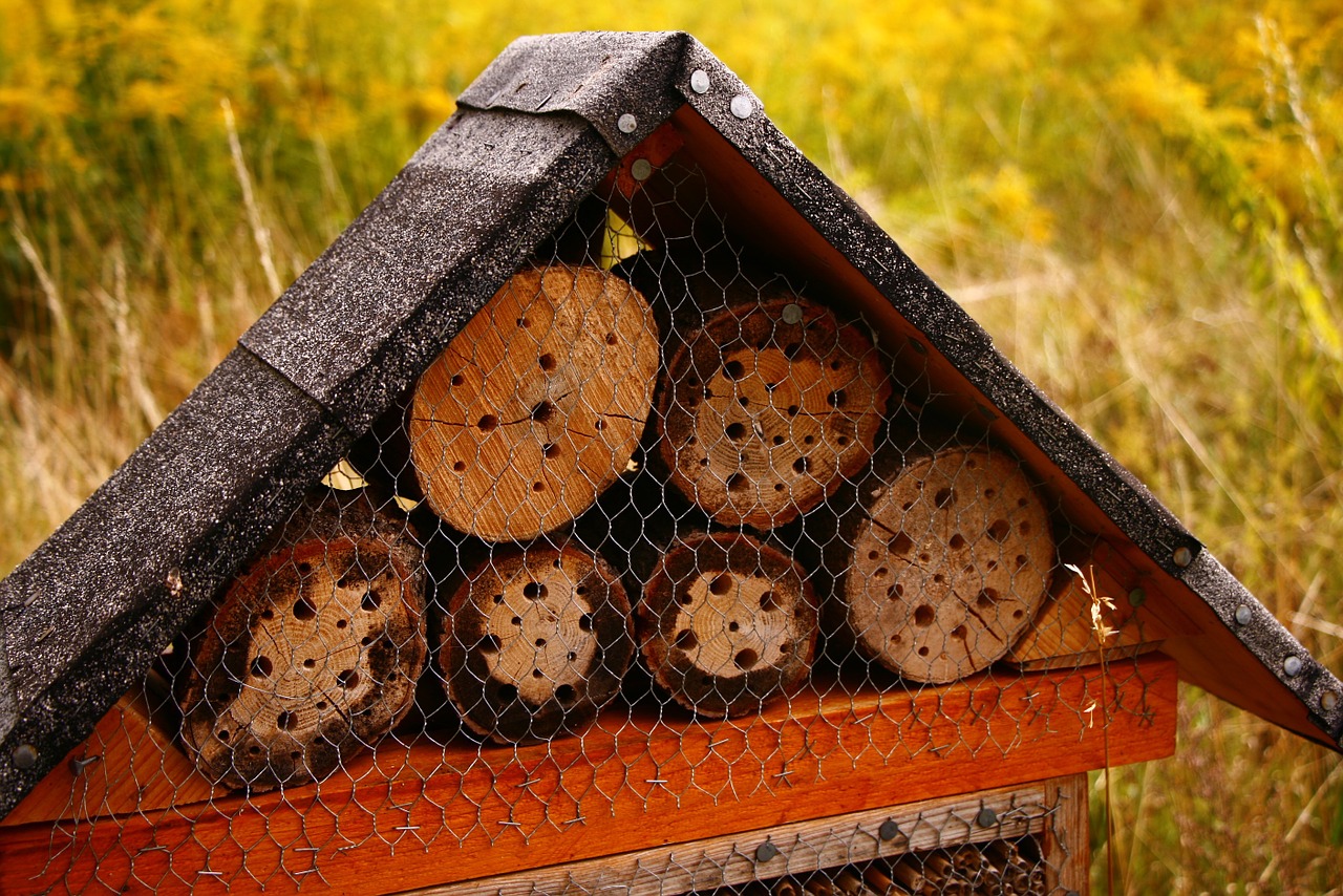 Lagaminai, Korio Rupiniai, Daržovių Sodas, Mediena, Nemokamos Nuotraukos,  Nemokama Licenzija