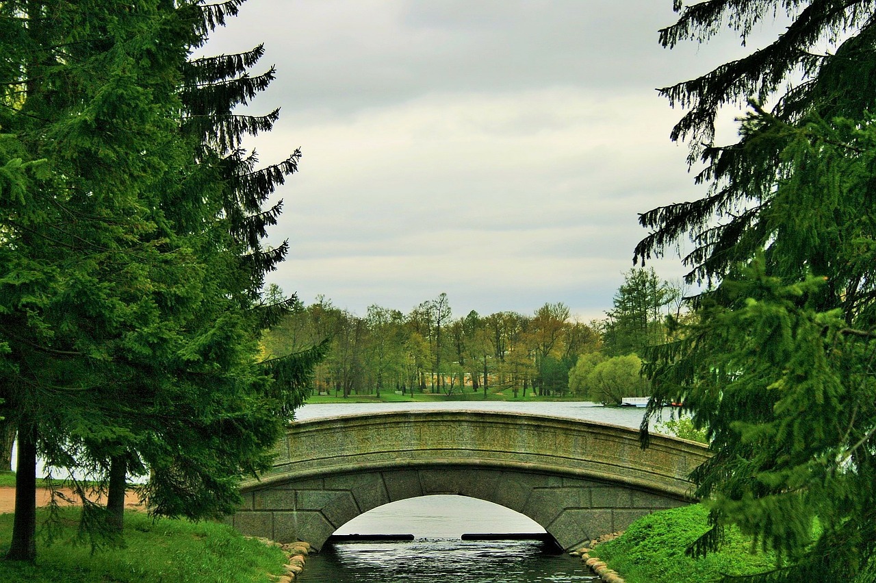 Tsarskoe Selo Turtas, Sankt Peterburgas, Tiltas, Tvenkinys, Kanalas, Vanduo, Medžiai, Nemokamos Nuotraukos,  Nemokama Licenzija