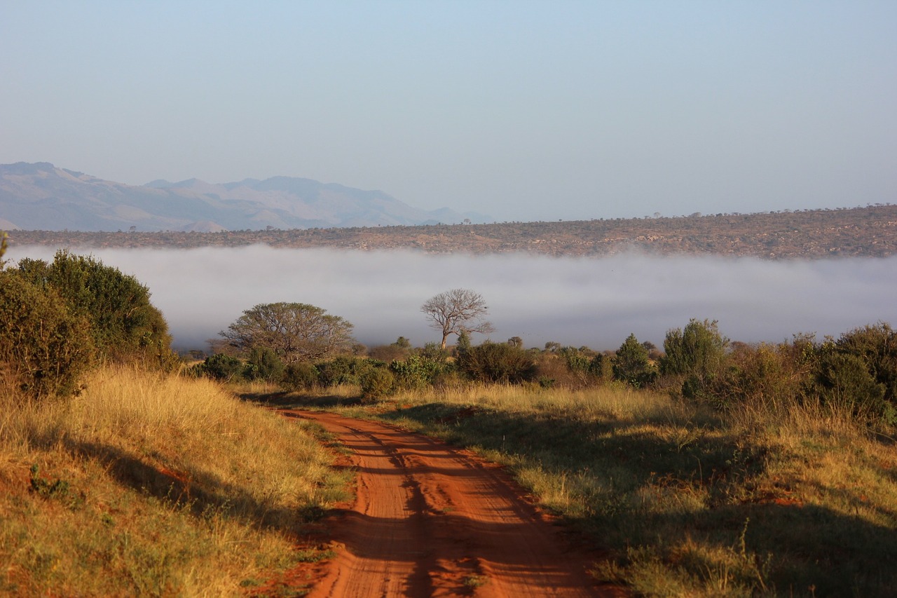 Tsavo, Kraštovaizdis, Kenya, Rytas, Debesys, Nemokamos Nuotraukos,  Nemokama Licenzija