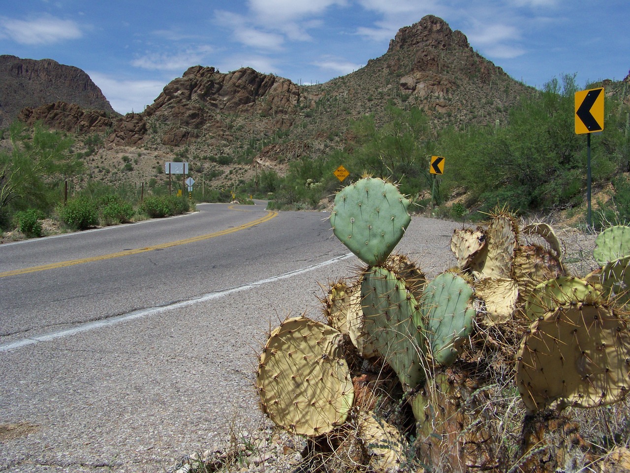 Tucson, Arizona, Usa, Kalnų Parkas, Kaktusas, Kraštovaizdis, Jungtinės Valstijos, Dykuma, Kelias, Smėlis
