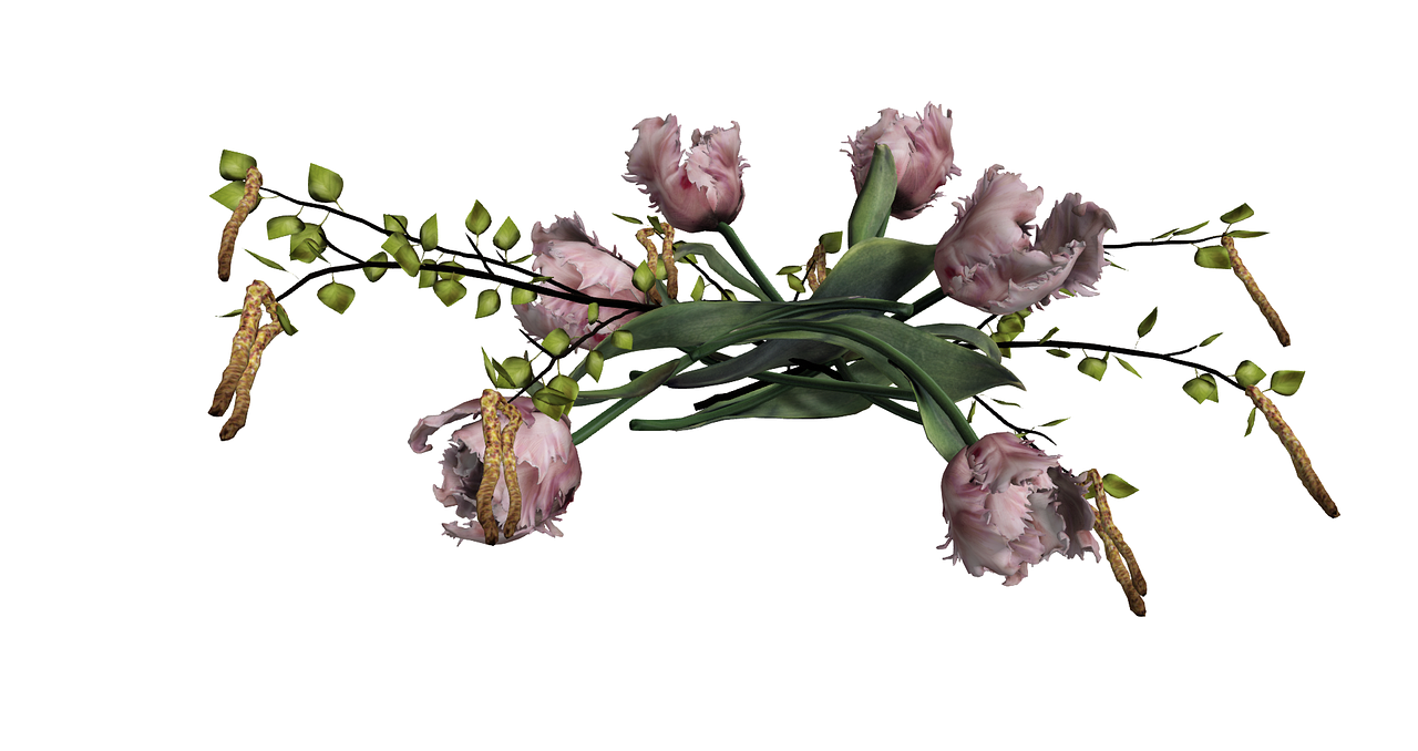 Tulpė, Beržas, Gėlės, Nemokamos Nuotraukos,  Nemokama Licenzija