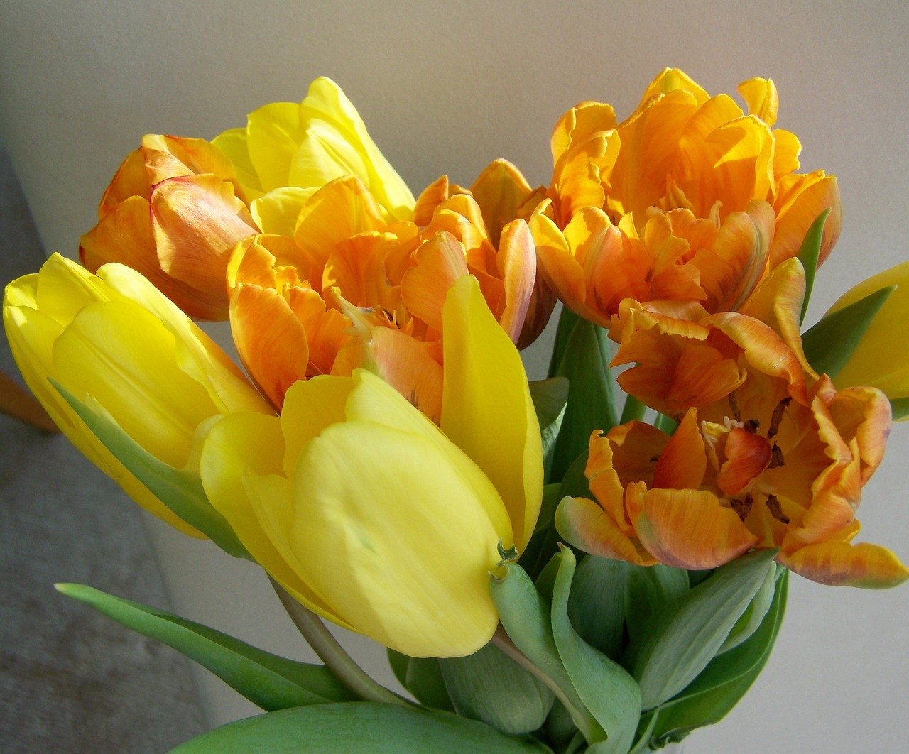 Tulpių Puokštė, Geltona-Oranžinė, Supjaustytos Gėlės, Nemokamos Nuotraukos,  Nemokama Licenzija