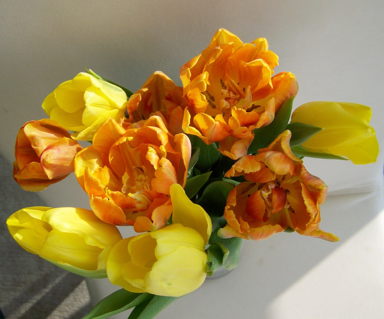 Tulpių Puokštė, Supjaustytos Gėlės, Geltona-Oranžinė, Nemokamos Nuotraukos,  Nemokama Licenzija
