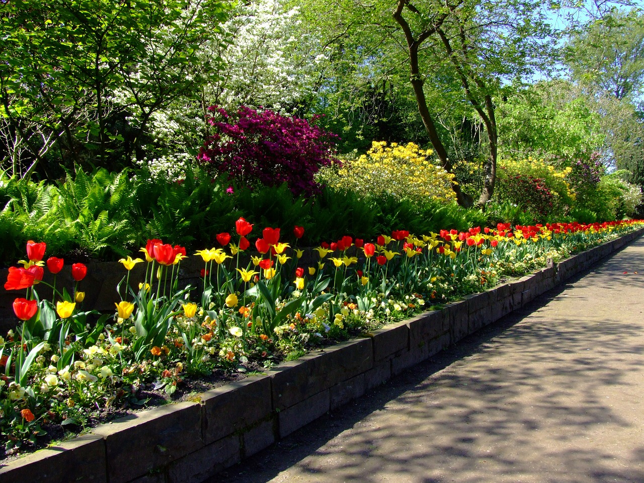 Tulpės, Tulpine Lova, North Park, Diuseldorfas, Pavasaris, Ryškios Spalvos, Schlossgarten, Parkas, Gėlės, Geliu Lova