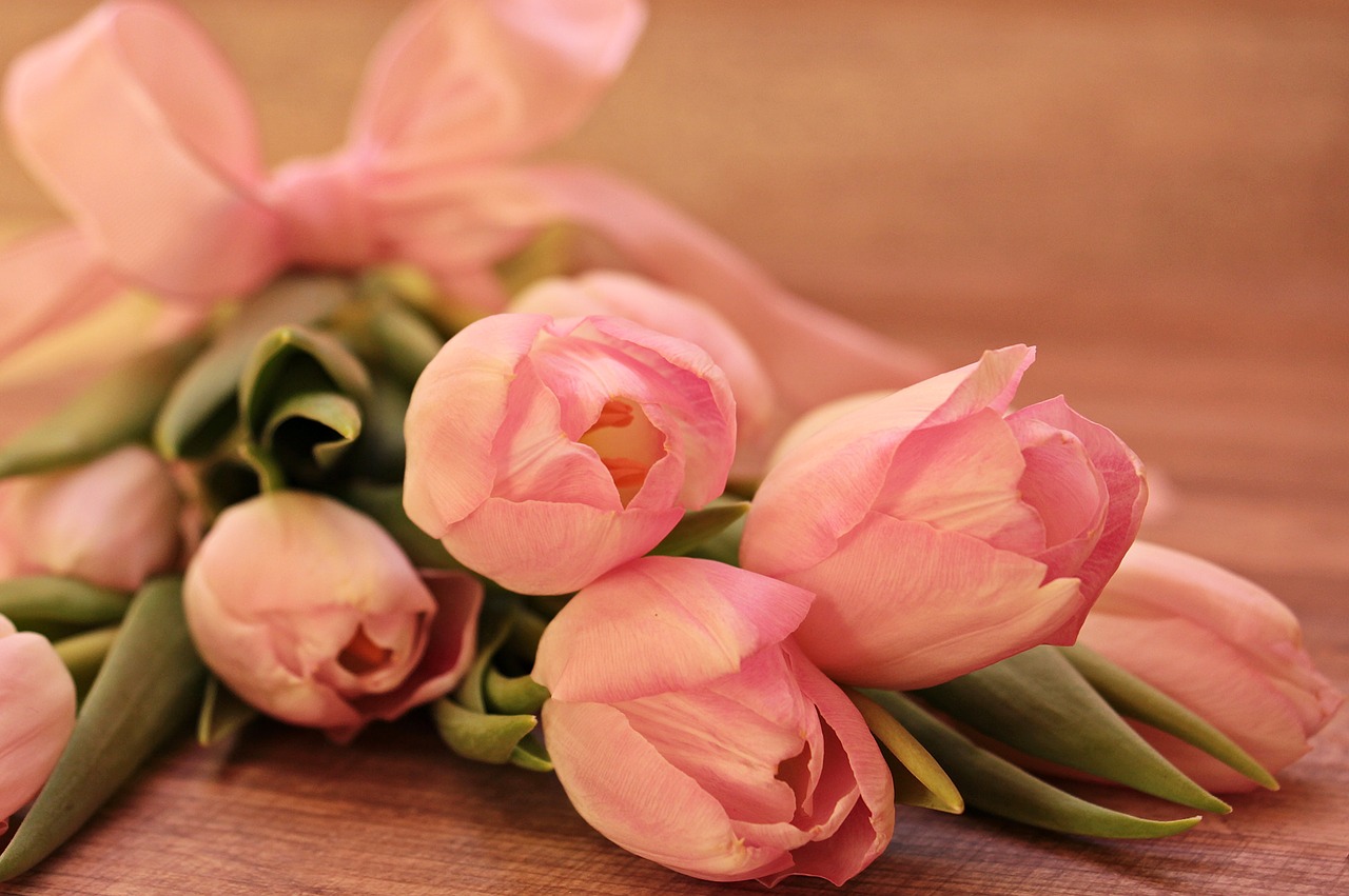 Tulpės, Tulipa, Gėlės, Schnittblume, Veislinis Tulpis, Pavasaris, Ankstyvas Bloomer, Rožinis, Rožinės Tulpės, Minkštas Rožinis
