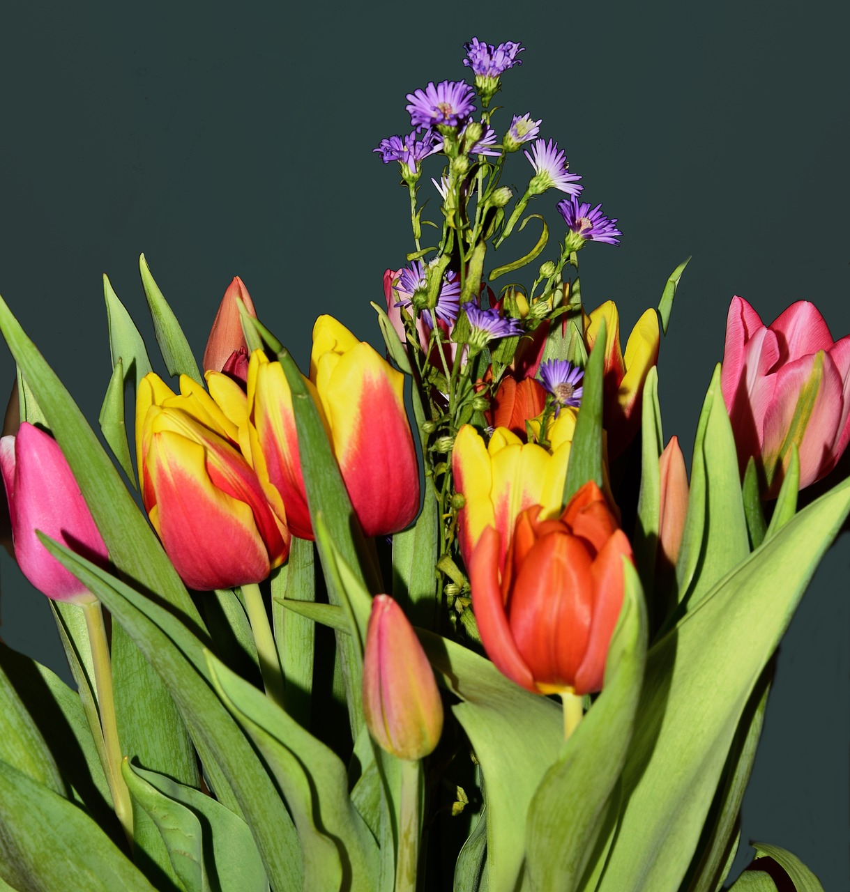 Tulpės, Puokštė, Pavasario Sveikinimai, Nemokamos Nuotraukos,  Nemokama Licenzija