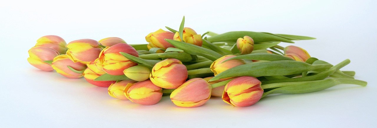 Tulpės, Gėlės, Oranžinė, Gamta, Pavasaris, Pavasario Pabudimas, Frühlingsanfang, Pavasario Gėlės, Motinos Diena, Ačiū