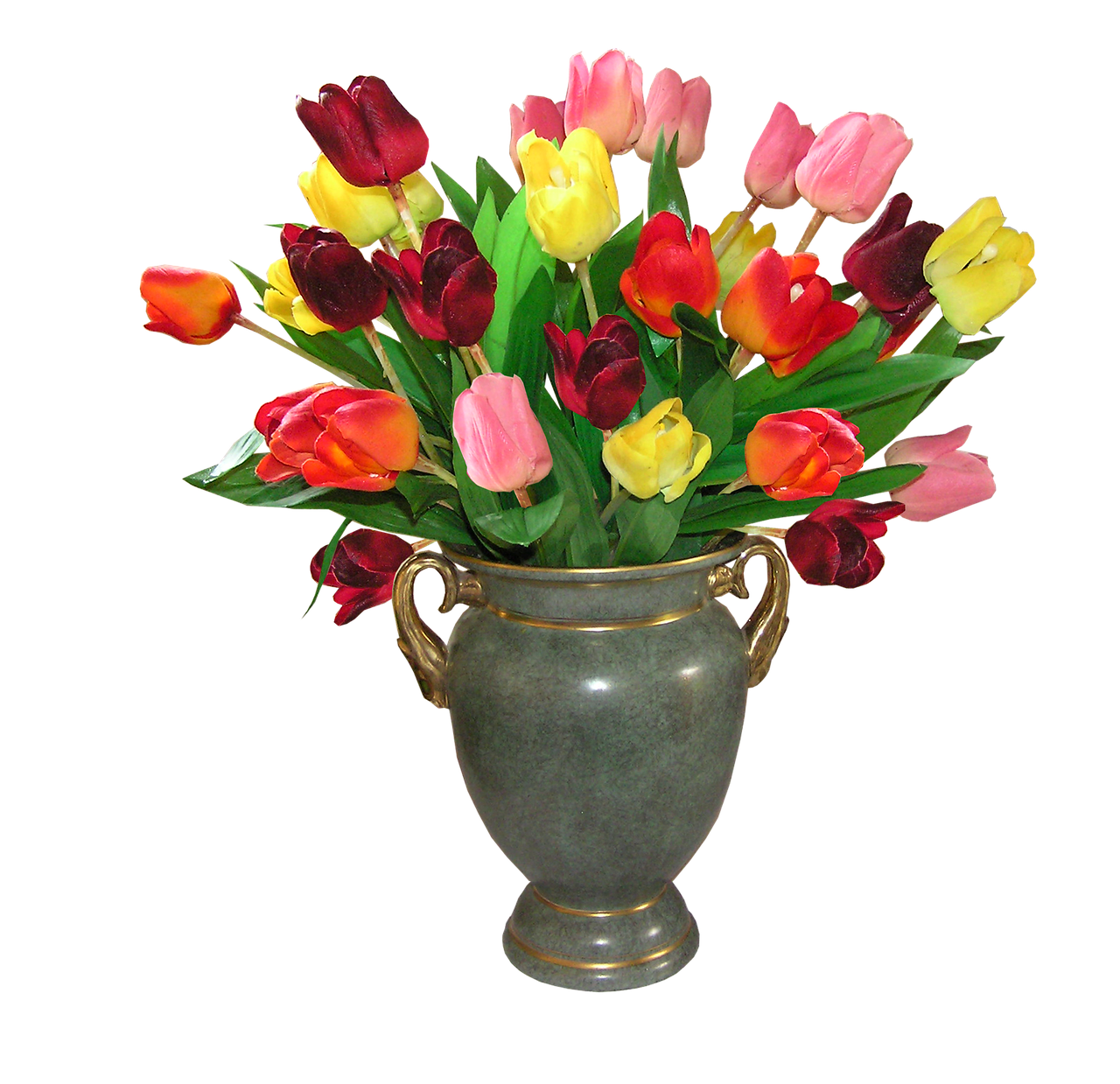 Tulpės, Gėlės, Vazos, Nemokamos Nuotraukos,  Nemokama Licenzija