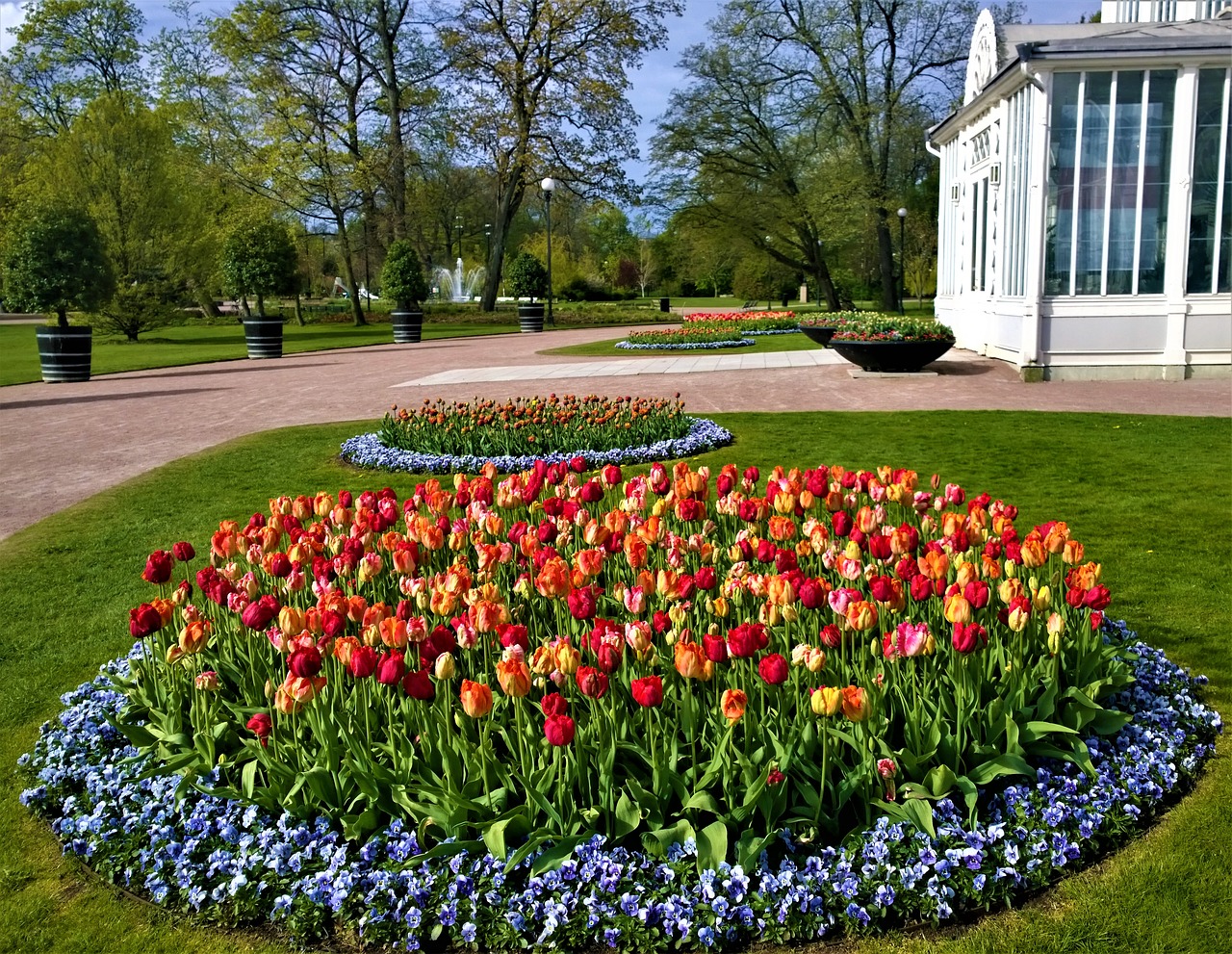 Tulpės, Gothenburg, Sodenų Bendruomenė Gothenburgas, Tulpė, Nuolaida, Sodas, Gėlės, Šiltnamyje, Palmių Namas, Auginimas