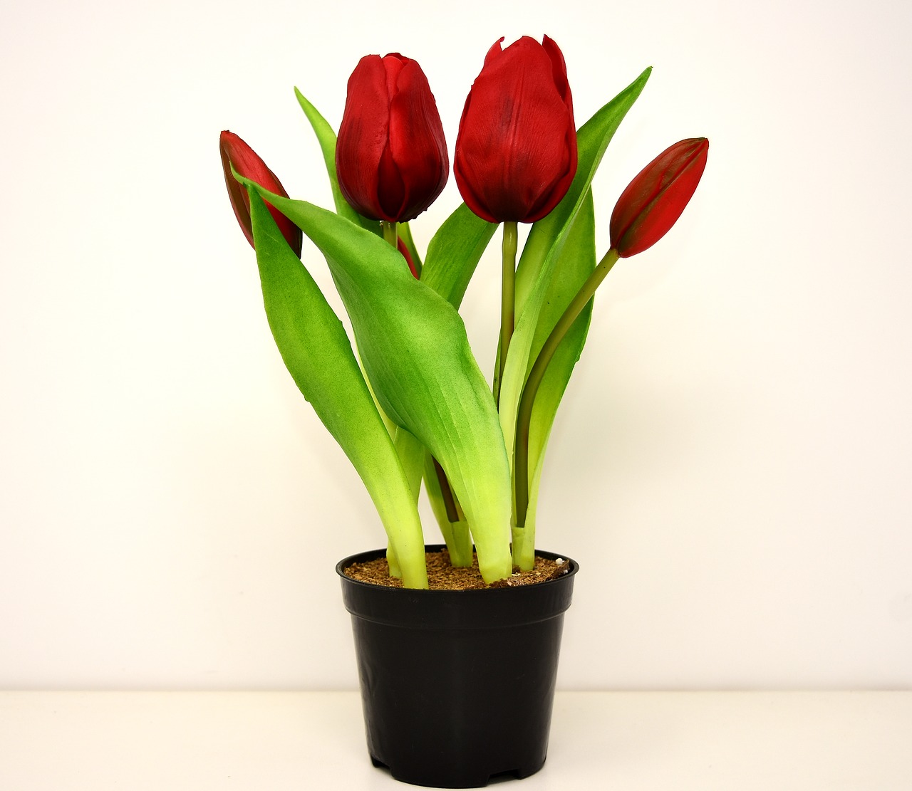 Tulpės, Gėlės, Dirbtinis, Pavasaris, Raudona, Nemokamos Nuotraukos,  Nemokama Licenzija