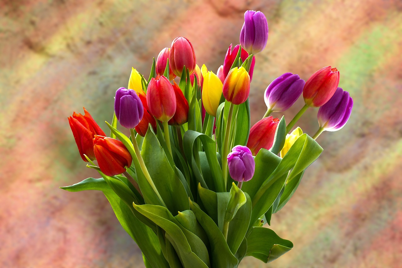 Tulpės,  Tulpė Puokštė,  Puokštė,  Strauss,  Pavasario Gėlė,  Žydi,  Spalvinga,  Gėlės,  Schnittblume,  Pavasaris