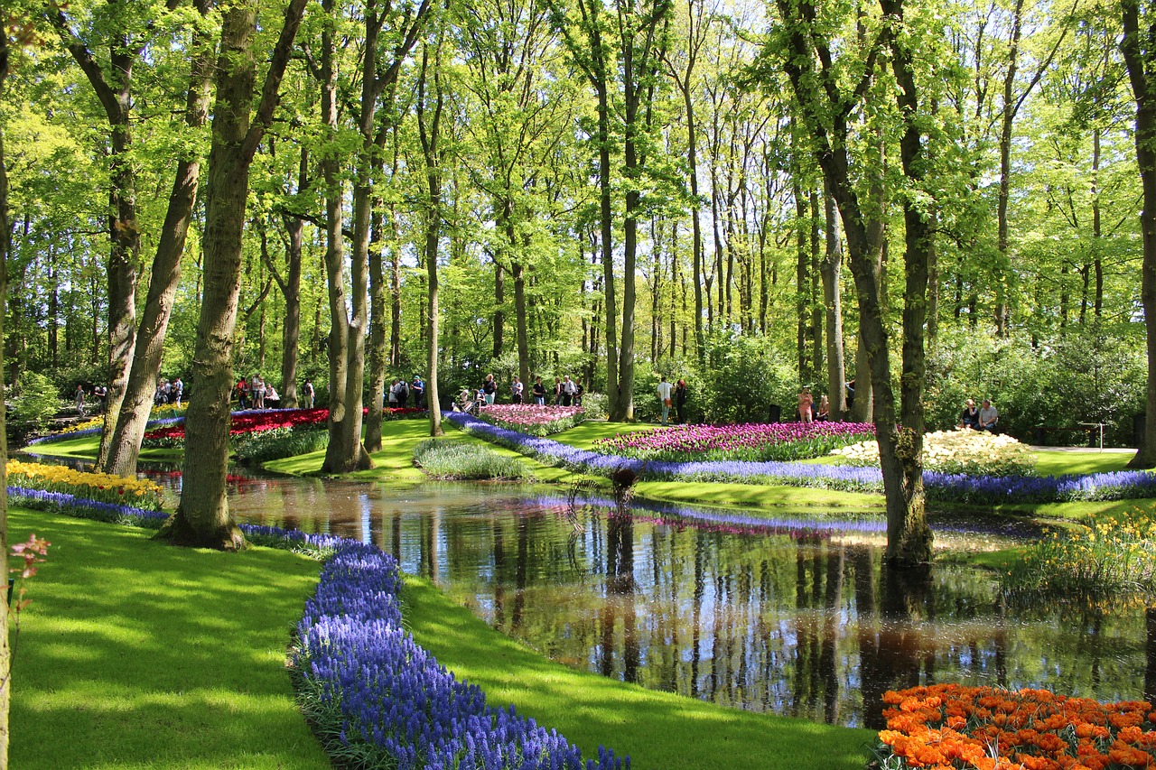 Tulpės,  Parkas,  Nyderlandai,  Keukenhof,  Sodas,  Gėlė,  Tulpė,  Gėlės,  Pavasaris,  Augalų