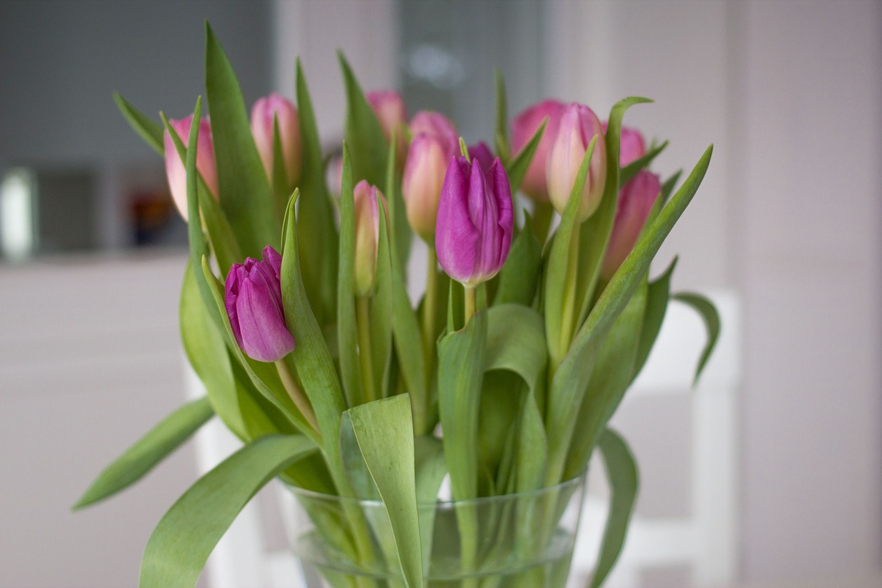 Tulpės, Gėlės, Pavasaris, Rožinis, Violetinė, Žydėti, Tulpių Puokštė, Vazos, Spalvinga, Romantiškas