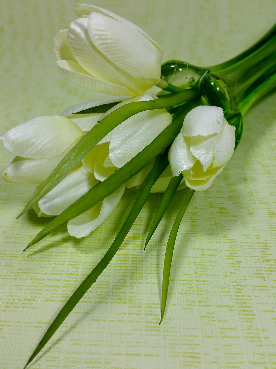 Tulpės, Balta, Pavasaris, Gėlės, Vazos, Nemokamos Nuotraukos,  Nemokama Licenzija