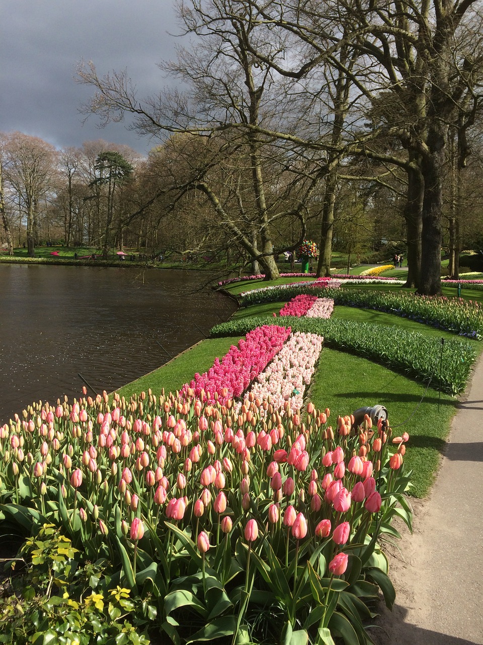 Tulpės, Gėlės, Keukenhof, Gėlių, Žydėti, Raudona, Žydi, Sodas, Pavasaris, Gamta