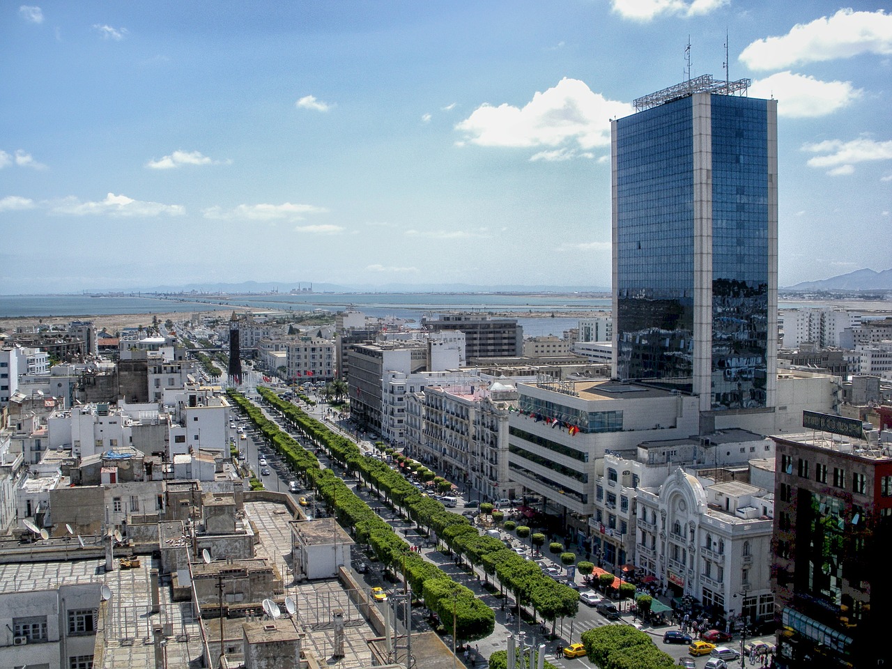 Tunisas, Tunisas, Miesto Panorama, Miestas, Dangoraižis, Pastatai, Architektūra, Medžiai, Gatves, Transporto Priemonės