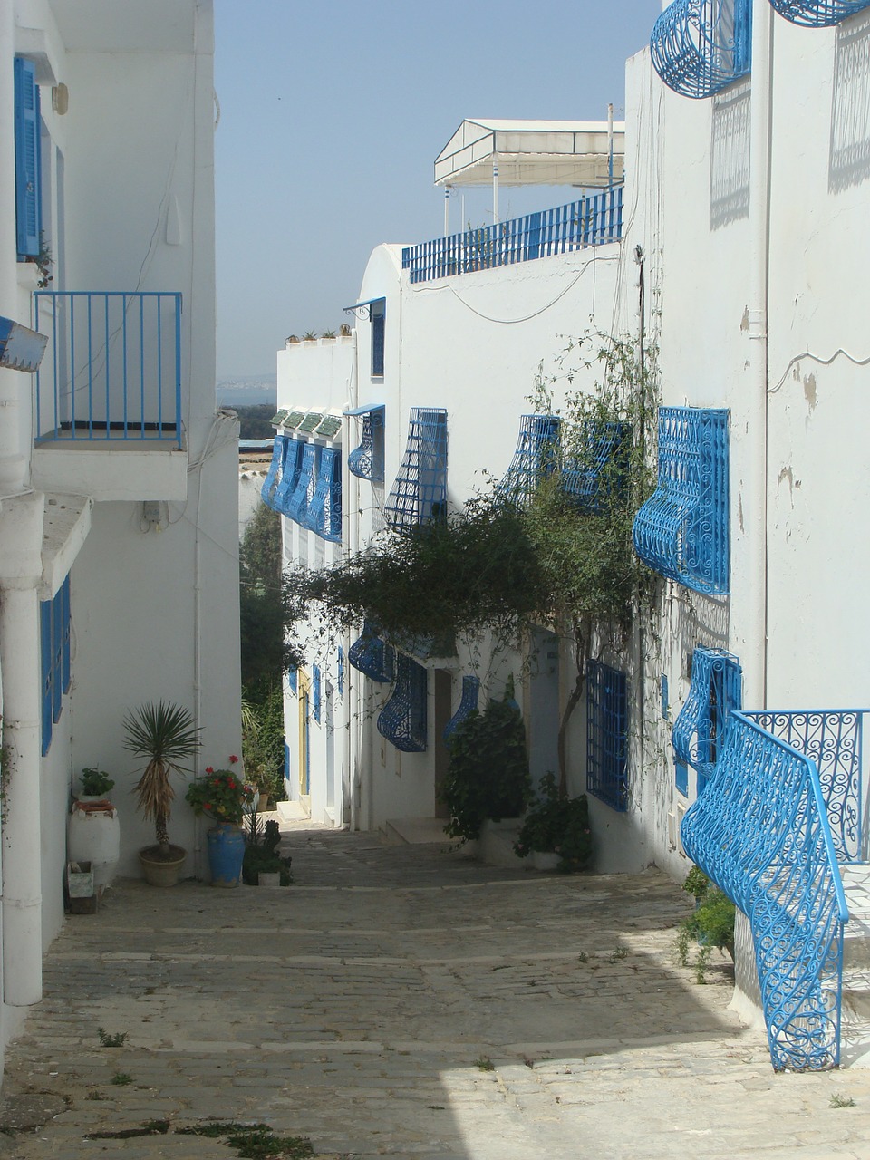 Tunisas, Arabiškas, Namai, Mėlynas, Balta, Nemokamos Nuotraukos,  Nemokama Licenzija
