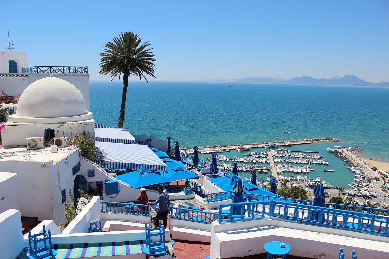 Tunisas, Miestas, Turizmas, Gražiai, Mėlyna - Balta, Gatvė, Gražus, Jūra, Palmės, Istorinis