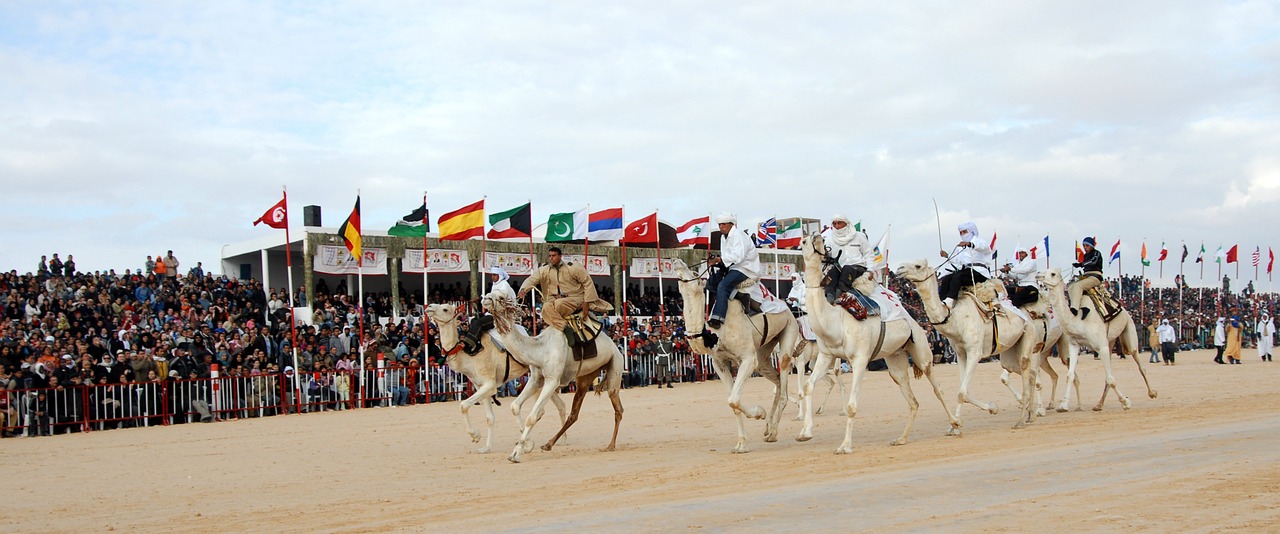 Tunisas, Kupranugaris, Festivalis, Sahara, Nemokamos Nuotraukos,  Nemokama Licenzija