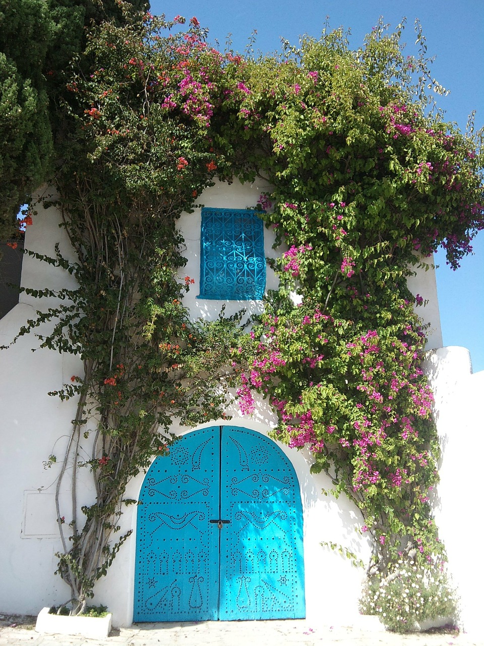 Tunisas, Durys, Gėlės, Tikslas, Nemokamos Nuotraukos,  Nemokama Licenzija