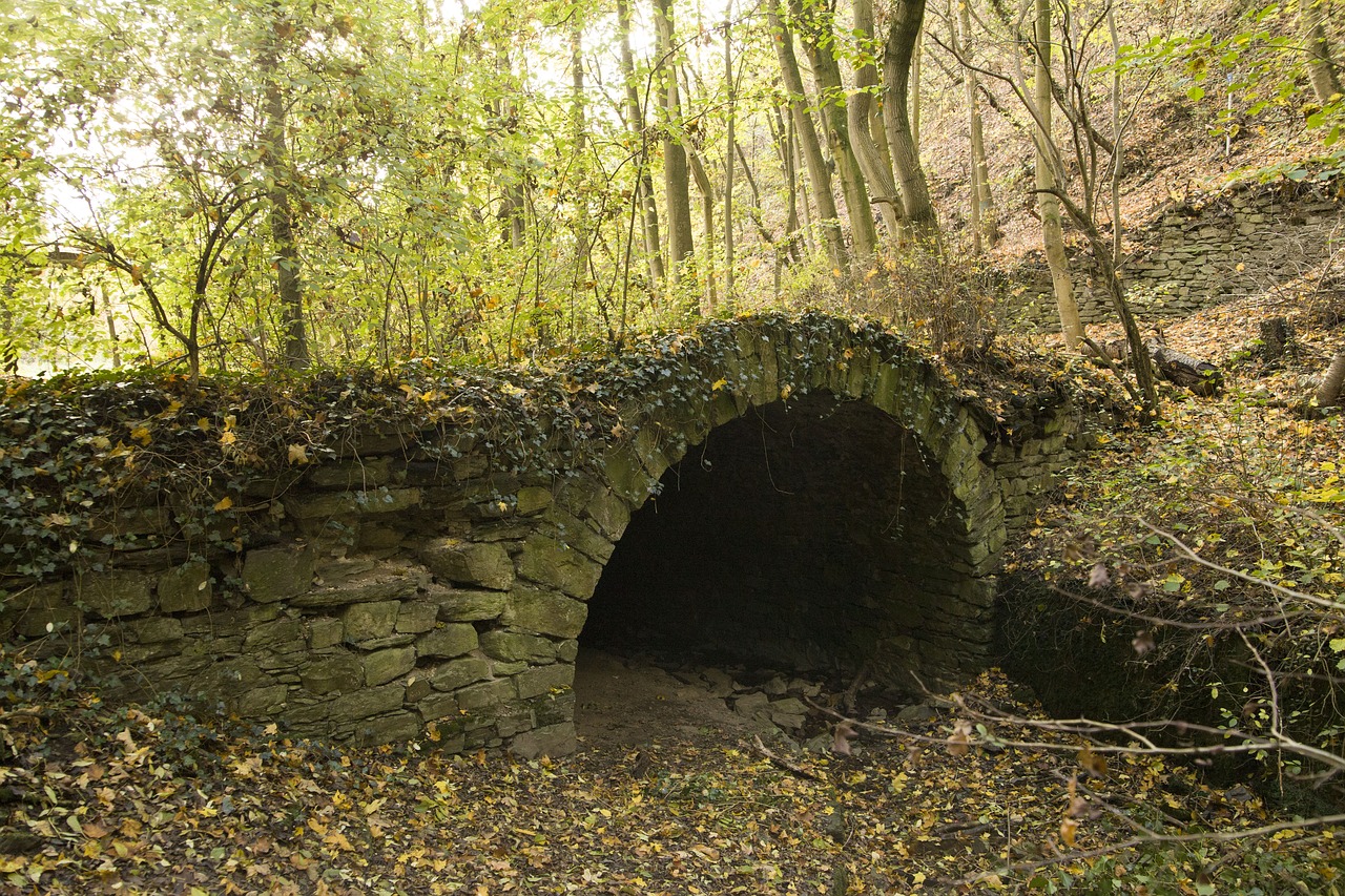 Tunelis, Miškas, Takas, Lahnstein, Ruppertsklamm, Nemokamos Nuotraukos,  Nemokama Licenzija