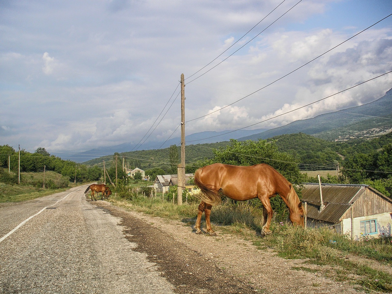 Turkija, Arkliai, Kelias, Kalnai, Kraštovaizdis, Vaizdingas, Ganymas, Valgymas, Gyvūnai, Dangus