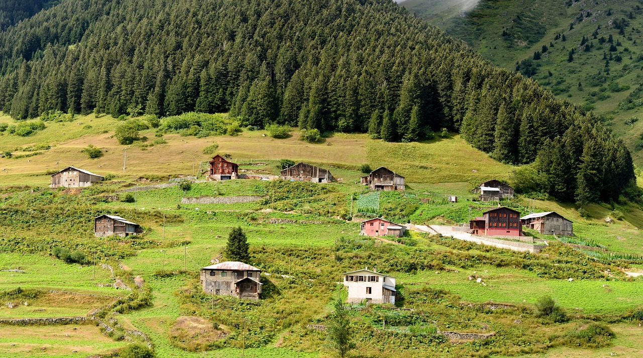 Turkija, Rytinė Juoda Jūra, Rize, Ayder, Plokščių, Kaçkars, Gamta, Žalias, Ispiras, Miškas