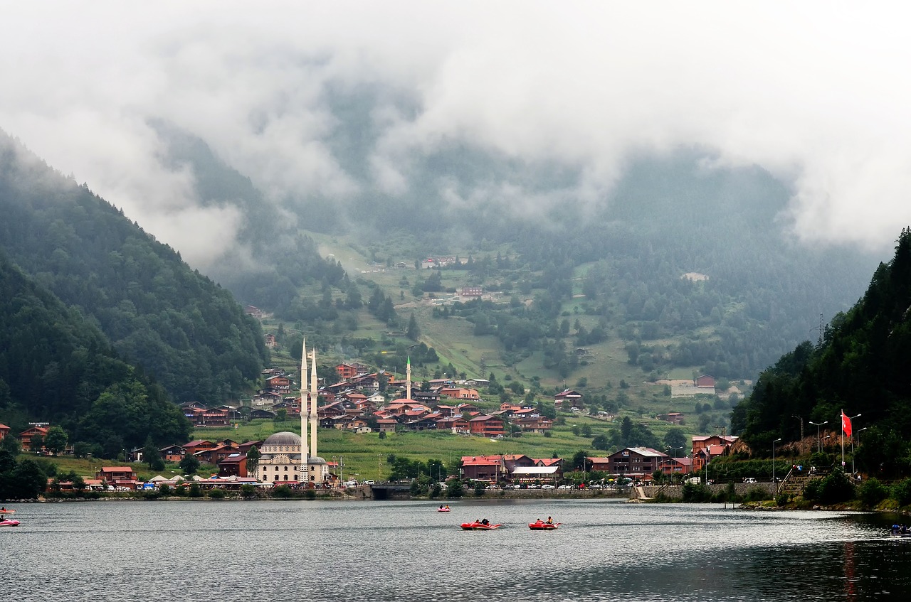 Turkija, Rytinė Juoda Jūra, Rize, Ayder, Plokščių, Kaçkars, Gamta, Žalias, Ispiras, Miškas