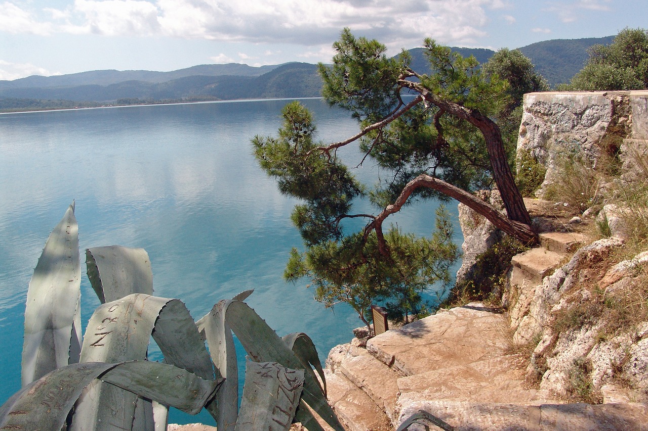 Turkija,  Gökova Parkas,  Pobūdį,  Jūros Vaizdas,  Agave,  Atostogos,  Saulė,  Turizmas,  Laiptų,  Perspektyva