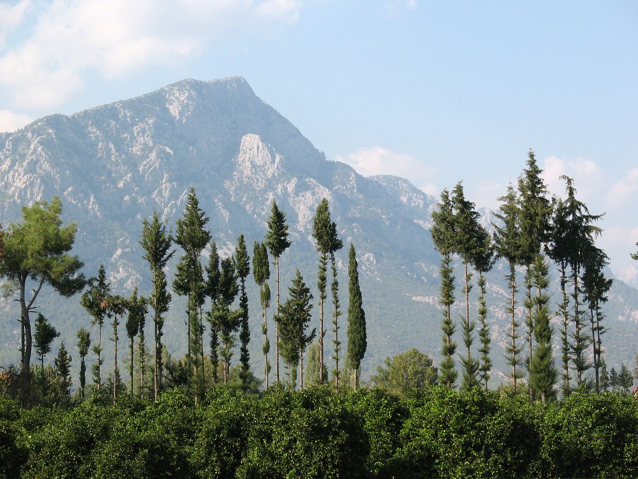 Turkija,  Kalnai,  Medžiai,  Gamta,  Kelionė,  Kemer,  Grožis, Nemokamos Nuotraukos,  Nemokama Licenzija