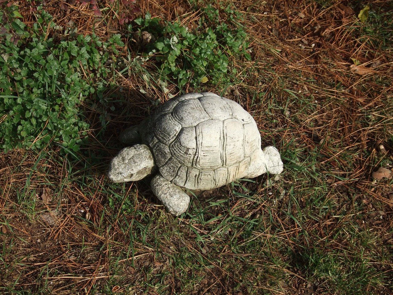 Vėžlys, Statula, Sodo Apdaila, Nemokamos Nuotraukos,  Nemokama Licenzija