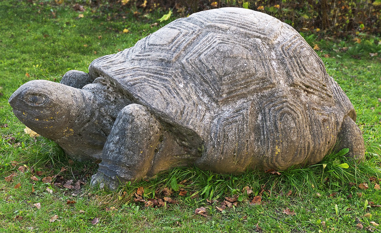 Vėžlys, Akmens Figūra, Skulptūra, Akmens Statula, Gyvūnas, Figūra, Roko Drožyba, Meno Kūriniai, Statula, Atmintis