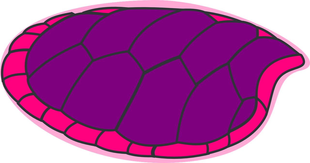 Vėžlys, Violetinė, Rožinis, Lukštas, Nemokama Vektorinė Grafika, Nemokamos Nuotraukos,  Nemokama Licenzija