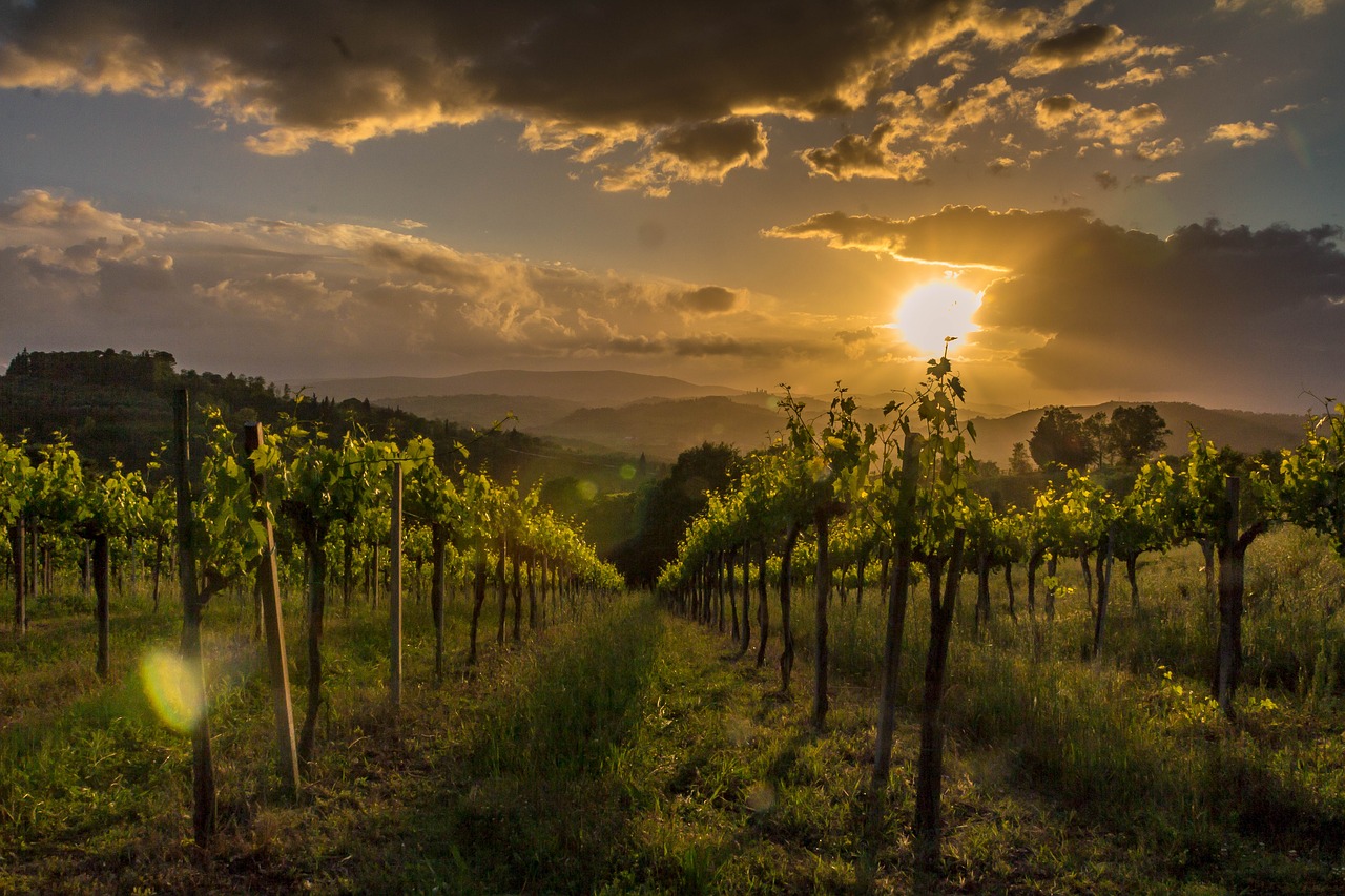 Toskana, Italy, Kraštovaizdis, Šventė, Vakaro Saulė, Nemokamos Nuotraukos,  Nemokama Licenzija