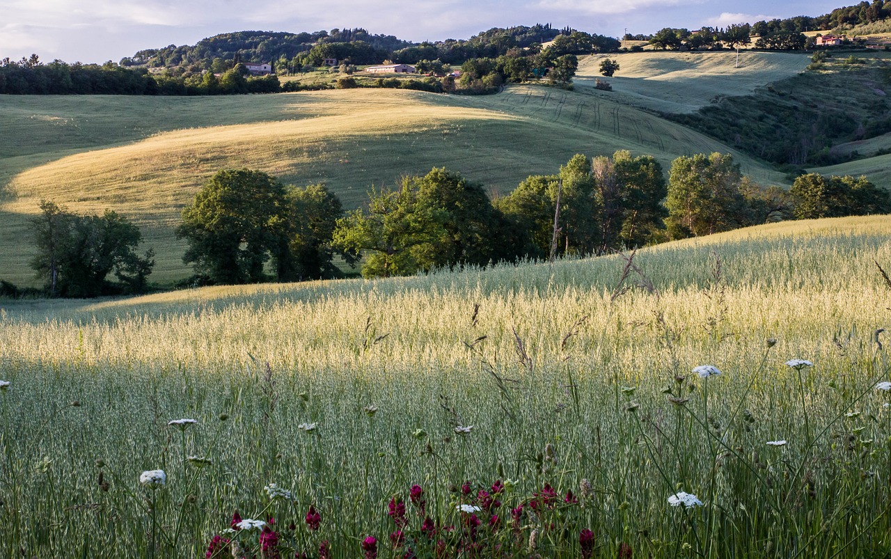 Toskana, Italy, Kraštovaizdis, Šventė, Vakaro Saulė, Nemokamos Nuotraukos,  Nemokama Licenzija