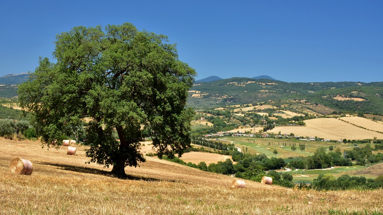 Toskana,  Saturnia,  Maremma,  Italija,  Kraštovaizdis,  Vasara,  Dangus,  Debesys,  Fonas,  Mėlyna