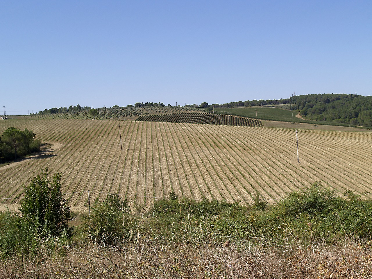 Toskana, Kraštovaizdis, Italy, Nemokamos Nuotraukos,  Nemokama Licenzija