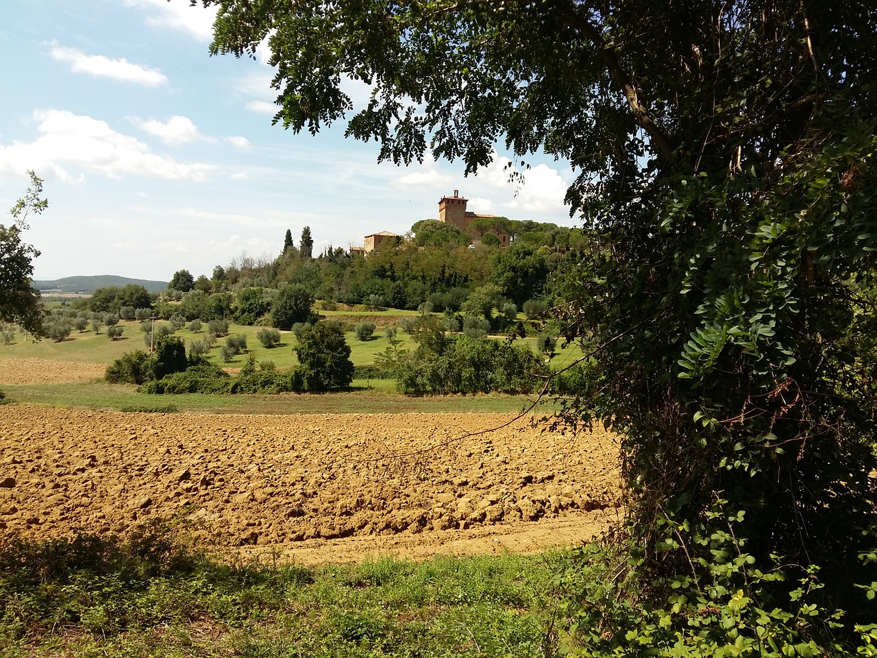 Toskana, Italy, Laukas, Panorama, Kaimas, Kaimas, Nemokamos Nuotraukos,  Nemokama Licenzija