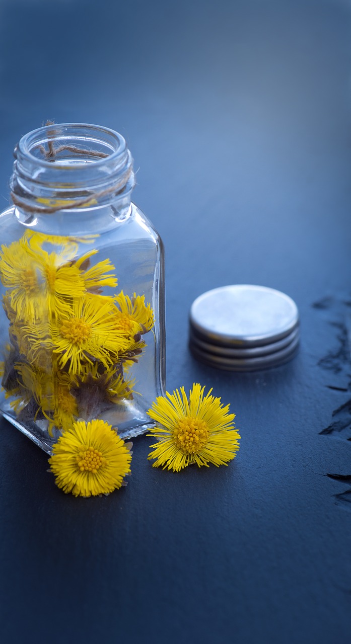 Tussilago Farfara, Kornblütler, Augalas, Gėlė, Geltona, Pavasaris, Gėlės, Geltonos Gėlės, Stiklas, Dekoratyvinis Stiklas