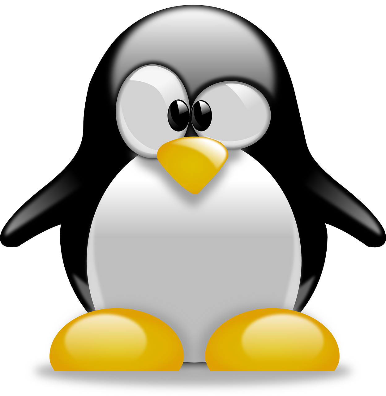 Tux, Pingvinas, Gyvūnas, Mielas, Linux, Talismanas, Logotipas, Kompiuteris, Supainioti, Sumišimas