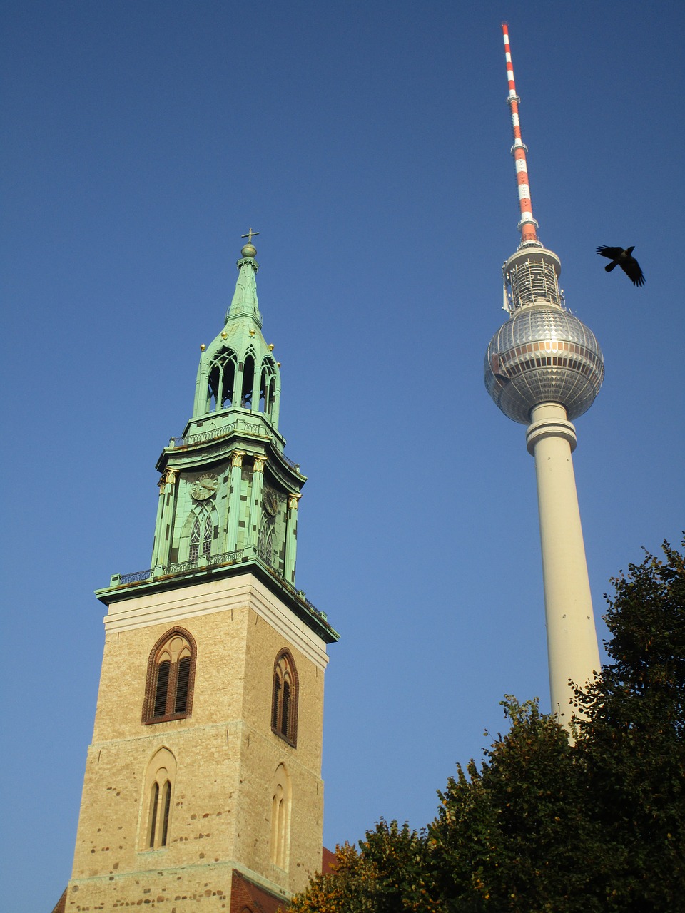 Tv Bokštas,  St Mary Bažnyčia,  Bažnyčia,  Bokštas,  Berlynas,  Paukštis,  Kapitalas,  Alexanderplatz,  Žymus Objektas,  Lankytinos Vietos